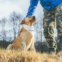 Live preview Customized Dog Bandanas Pet Triangle Scarf